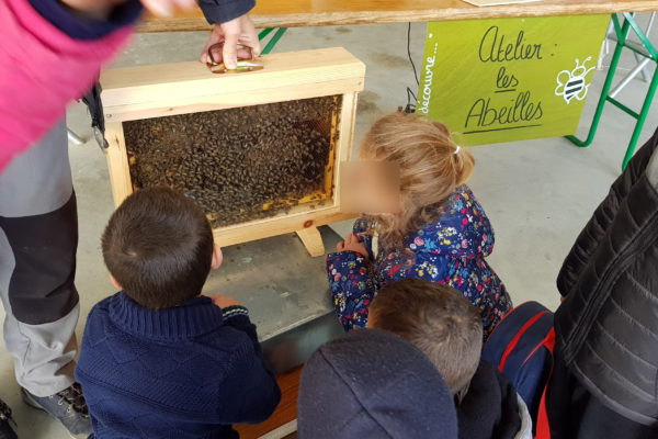Act Now ! 1 jour, 1 action terrain, c’est aussi ça la RSE Travailassocié