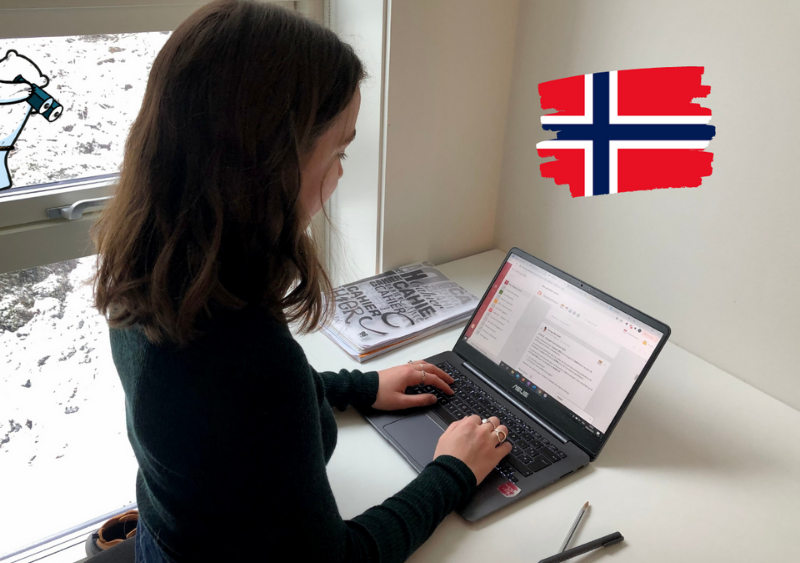 stagiaire RSE Travailassocie Norvege